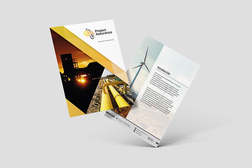 project_assurance